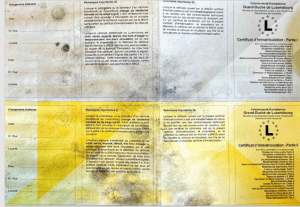 carte-grise-luxembourg-1-verso