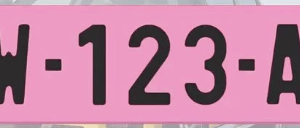 plaque-rose-ww-provisoire