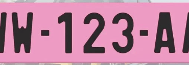 plaque-rose-ww-provisoire